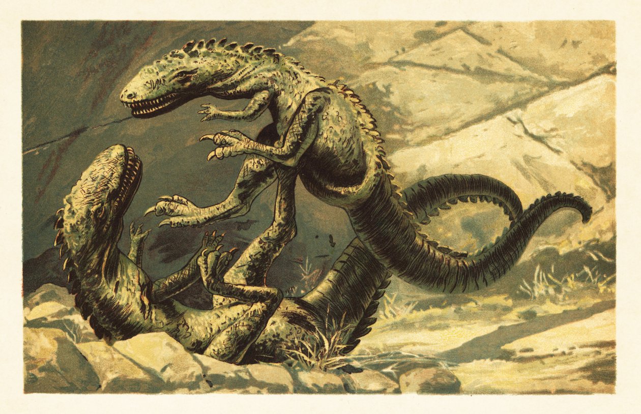 Deux Dryptosaurus aquilunguis combattant. 1908 - Unbekannter Künstler