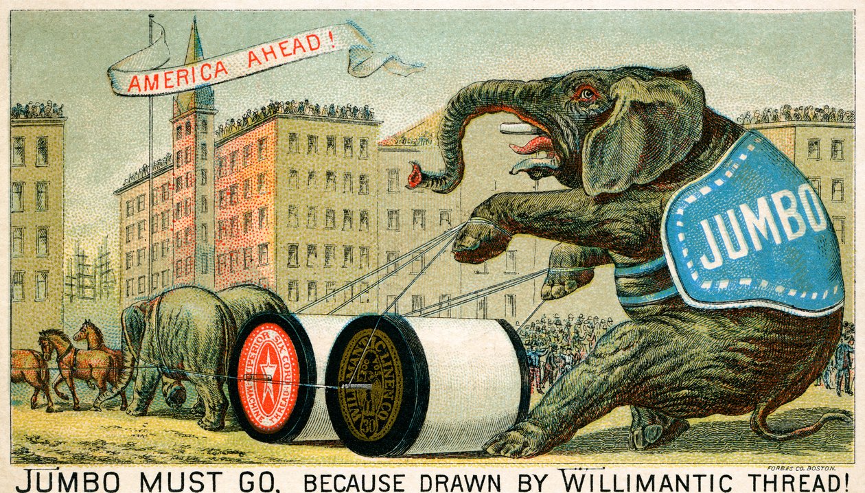 Willimantic Thread - publicité de la fin du 19ème siècle - Unbekannter Künstler