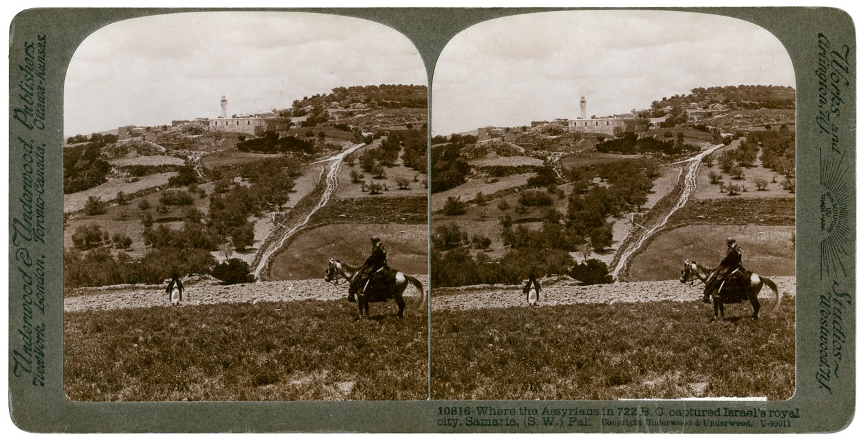 Samarie, sud-ouest de la Palestine, années 1900 - Underwood and Underwood