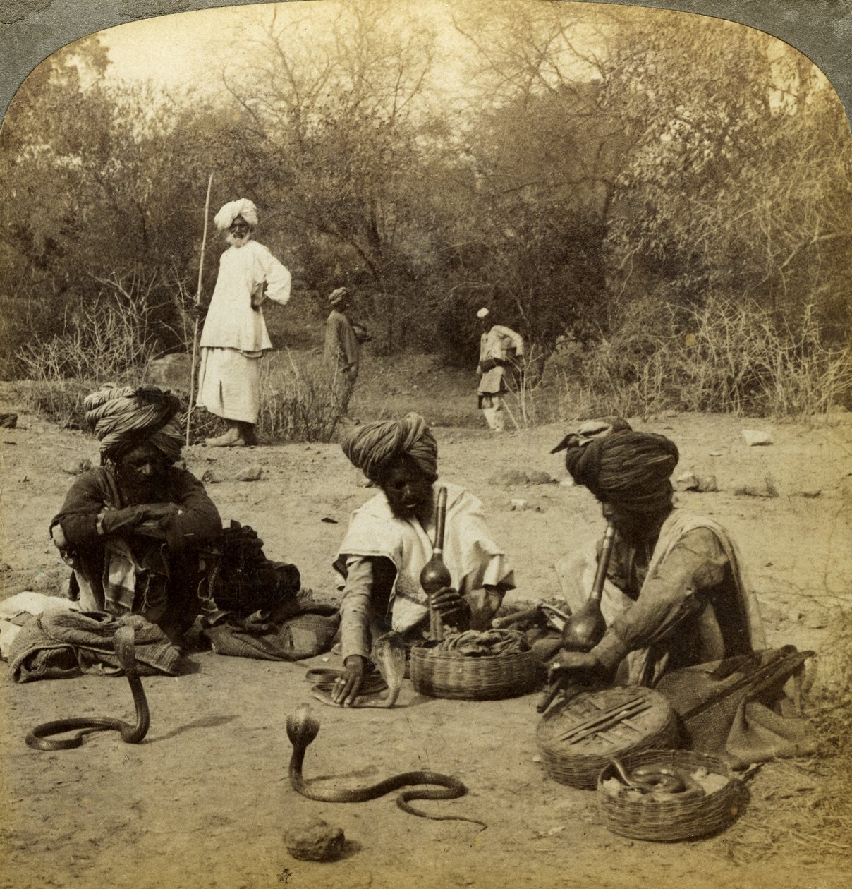 Charmeurs de serpents, Delhi, Inde - Underwood and Underwood