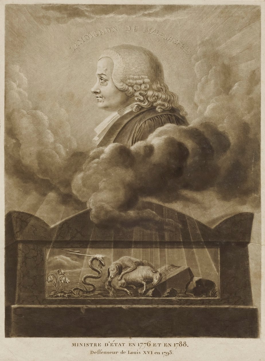 La Moignon de Malesherbes - Unidentified
