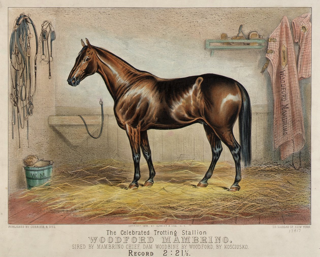 Le célèbre étalon trotteur Woodford Mambrino - Unidentified