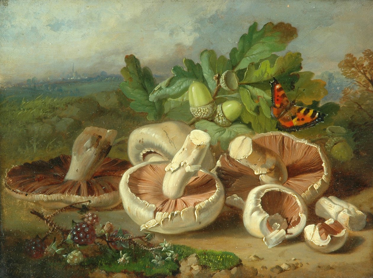 Nature morte avec champignons, etc., 1859 - Unknown