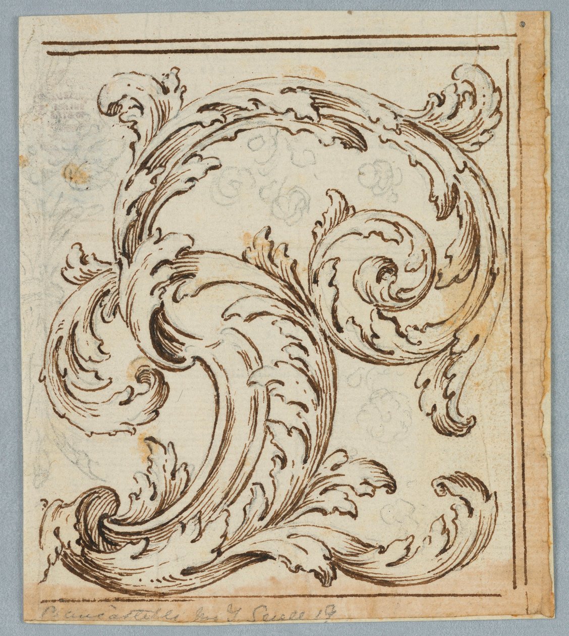 Dessin, Design de Rinceau, 1725-1750 - Unknown