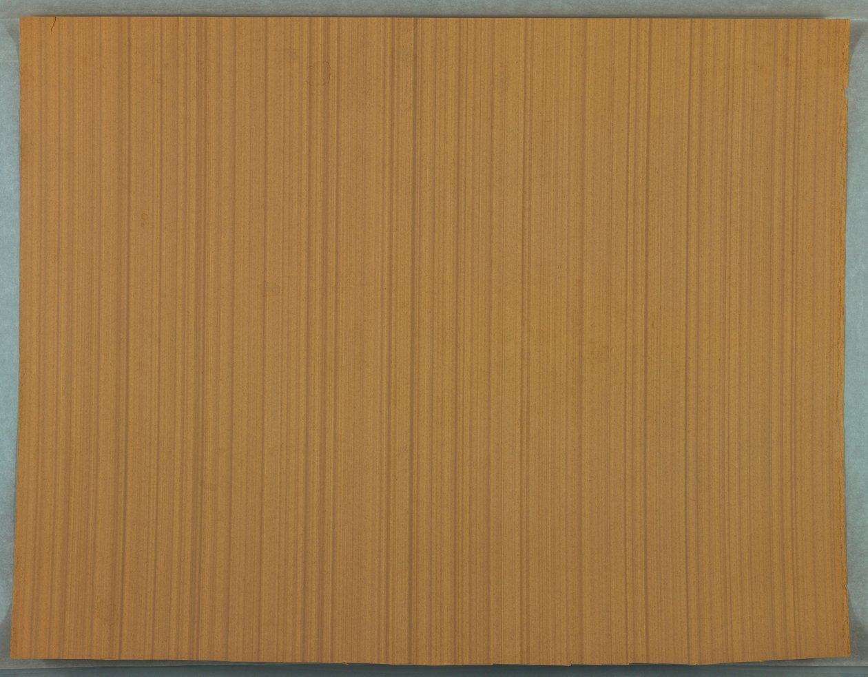 Revêtement mural (possiblement France), 1895-1905 - Unknown