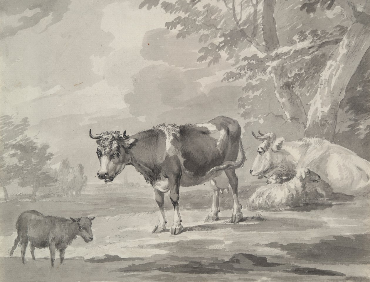 Vaches et moutons - Unknown