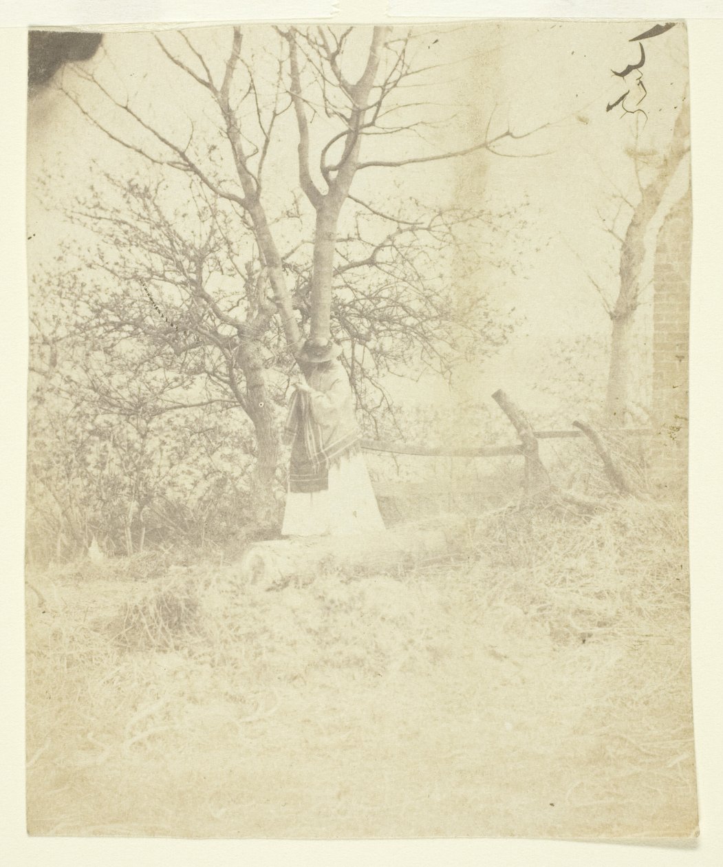 Mrs. Craik - Unknown