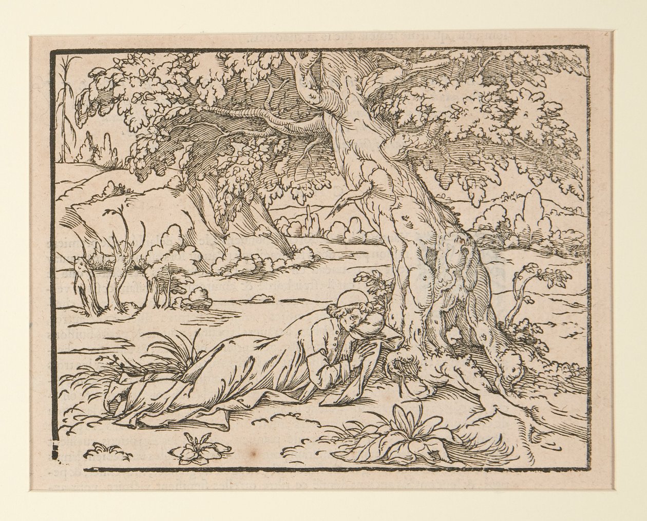 Page d
