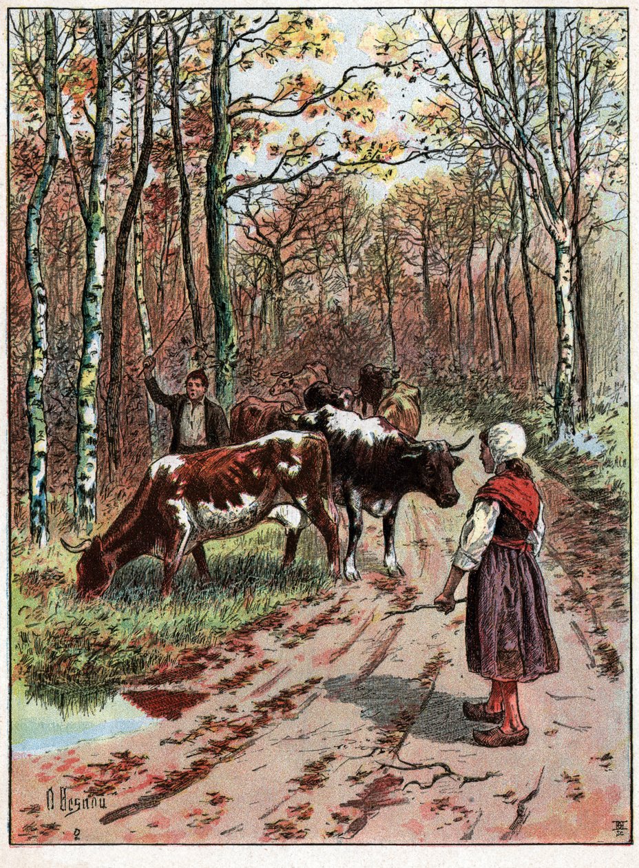 Troupeau de vaches - Unknown