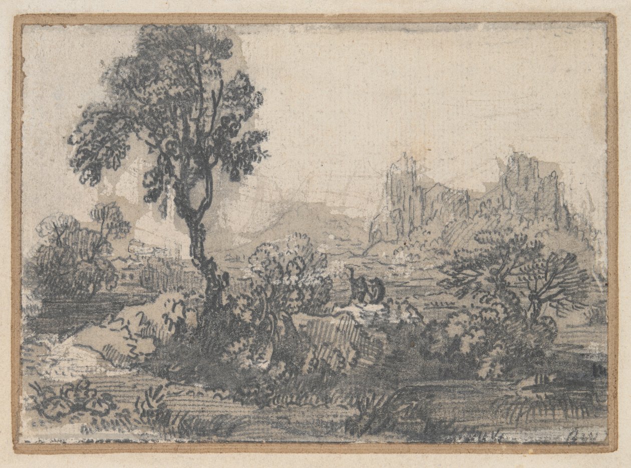 Paysage forestier - Unknown