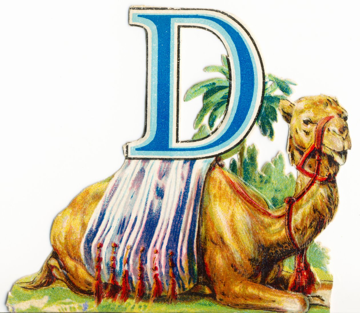 D: Dromadaire - Unknown artist