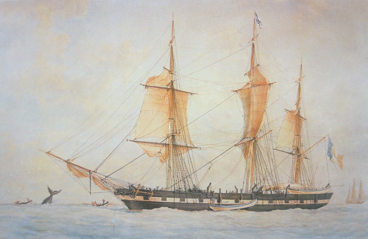 Baleinier français, vers 1845 - Unknown artist