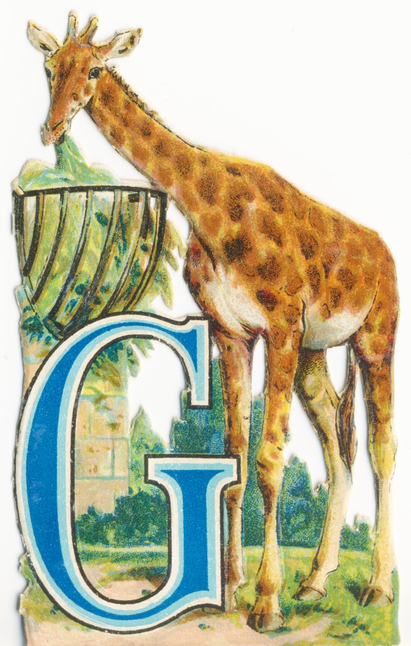 G: girafe - Unknown artist