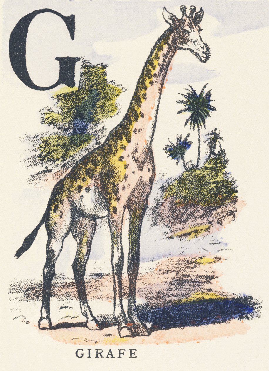 G : girafe - Unknown artist