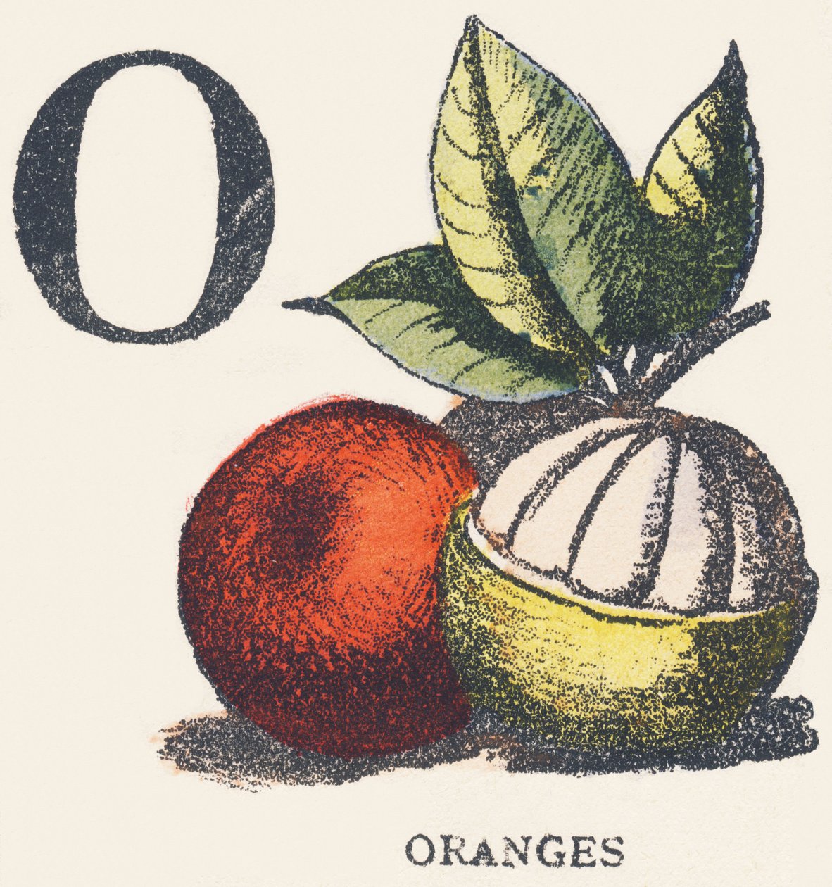 O : oranges - Unknown artist