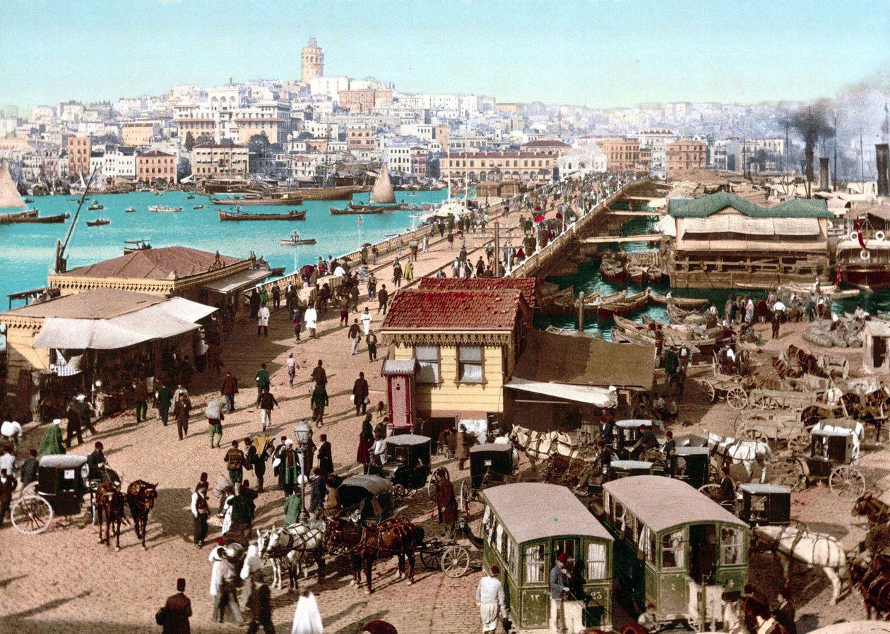 Vue de Constantinople. Photochrome v. 1890. - Unknown artist