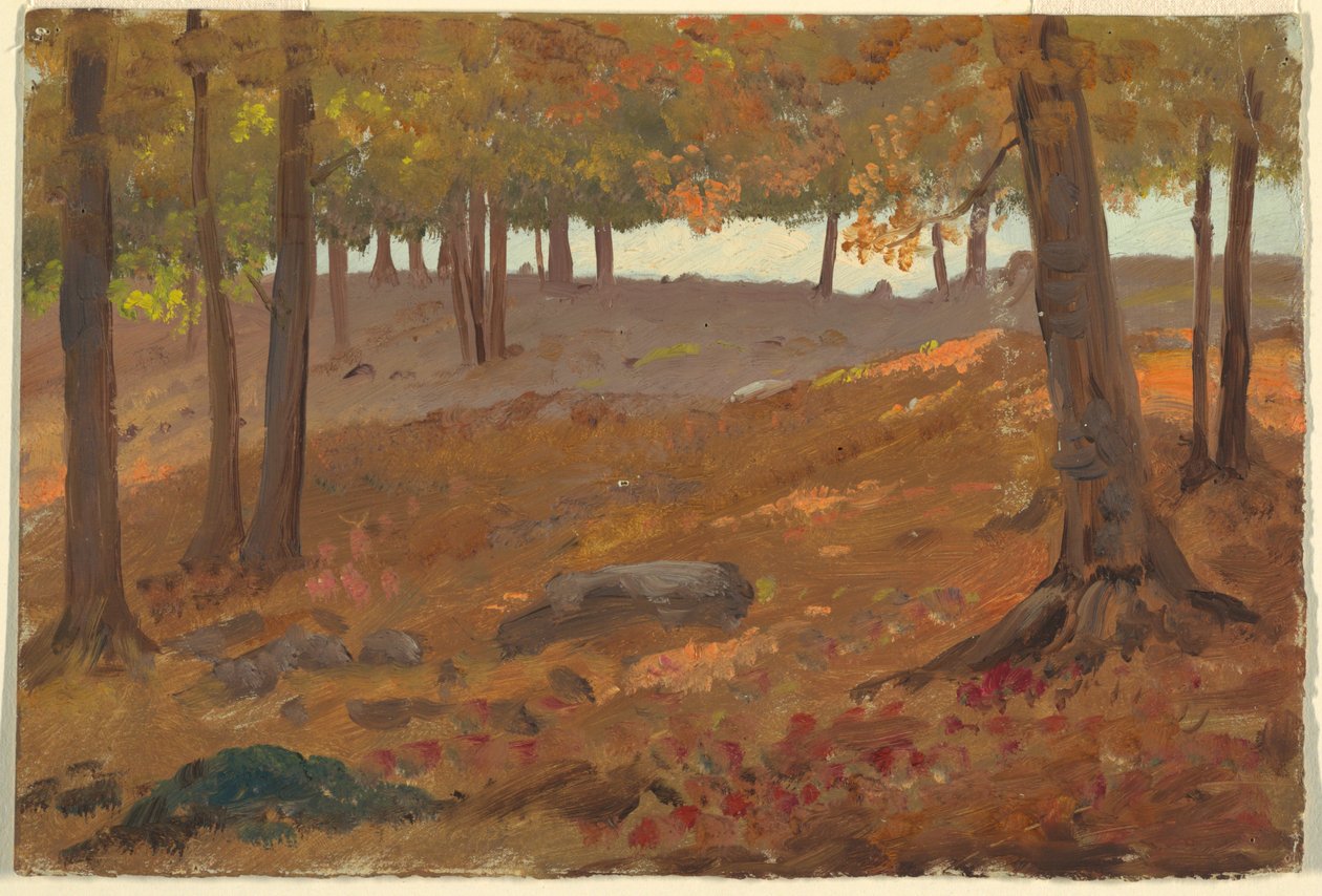 Dessin, Bois en automne, 1870-80 - Unknown artistUnknown artist