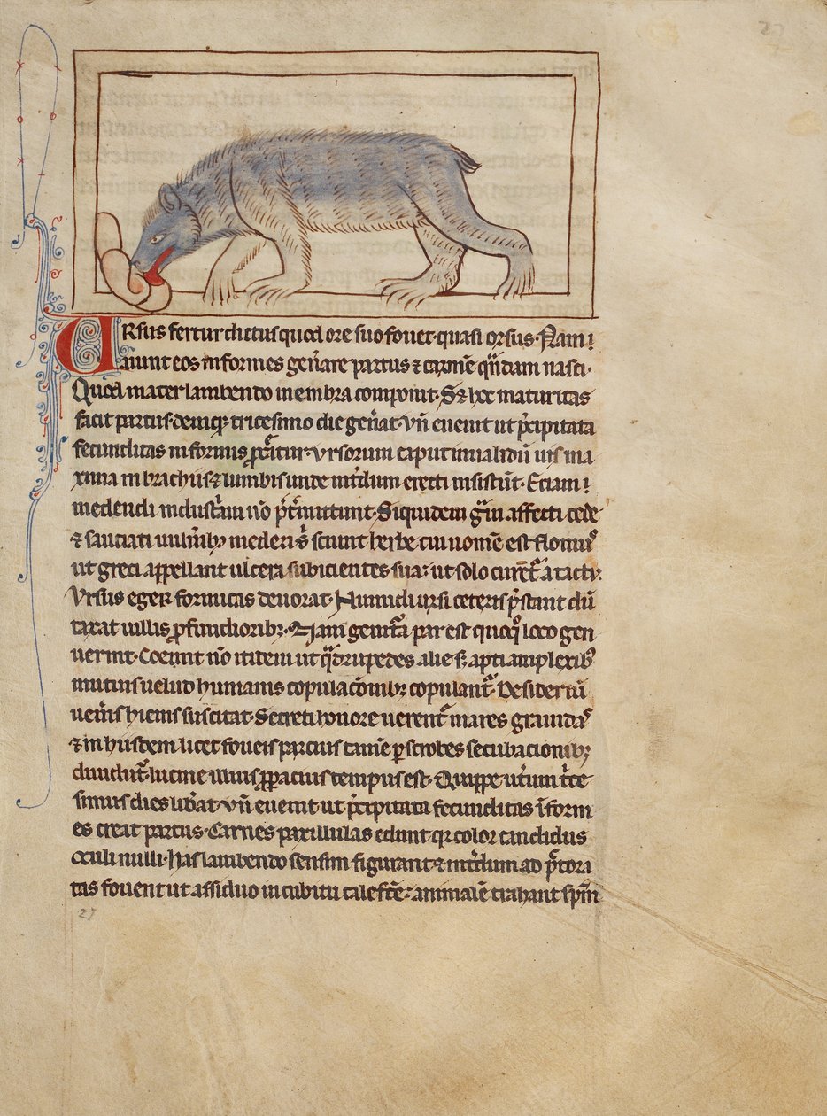 A Bear - Unknown artist