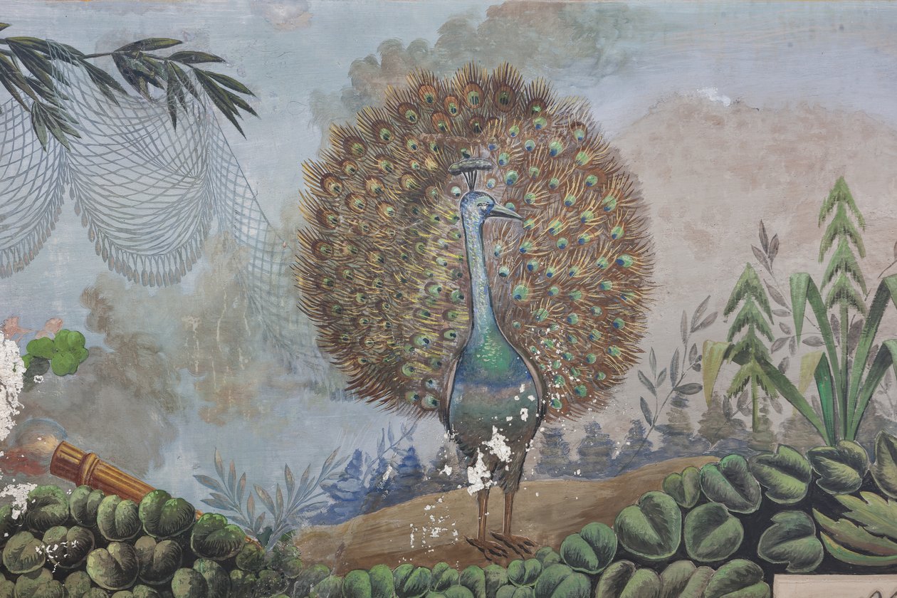 Un paon (détail) - Unknown artist
