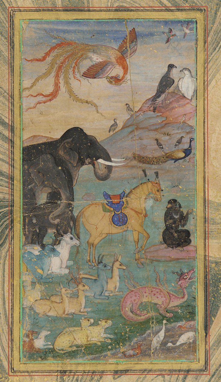 Animaux et oiseaux - Unknown artist