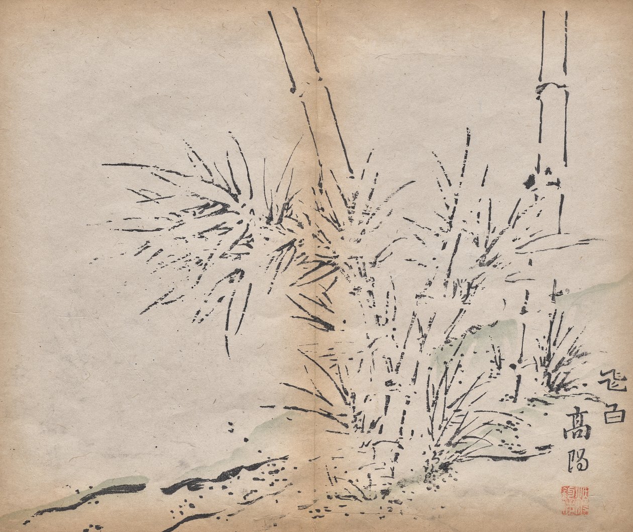 Bambou - Unknown artist