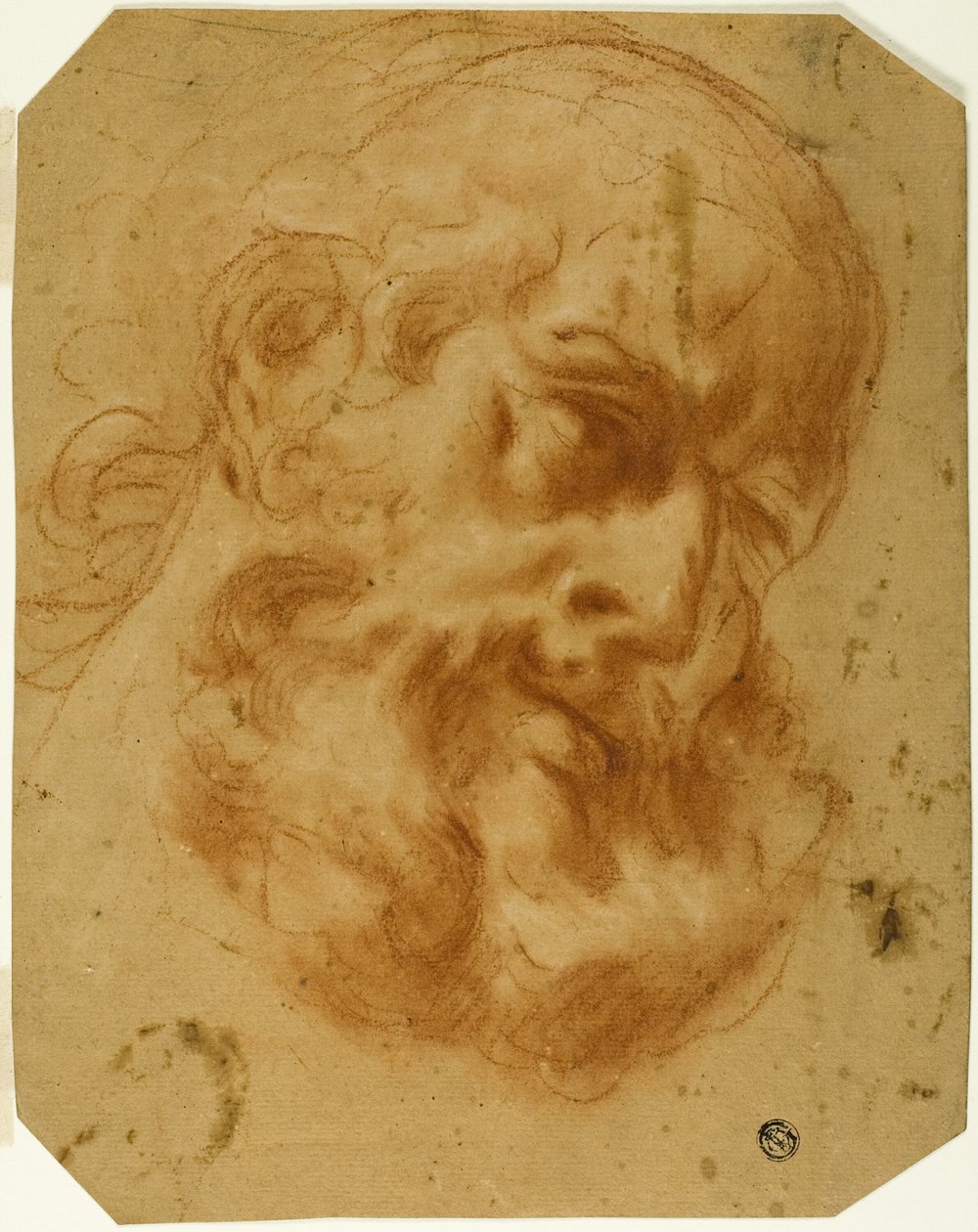 Tête Barbu - Unknown artist