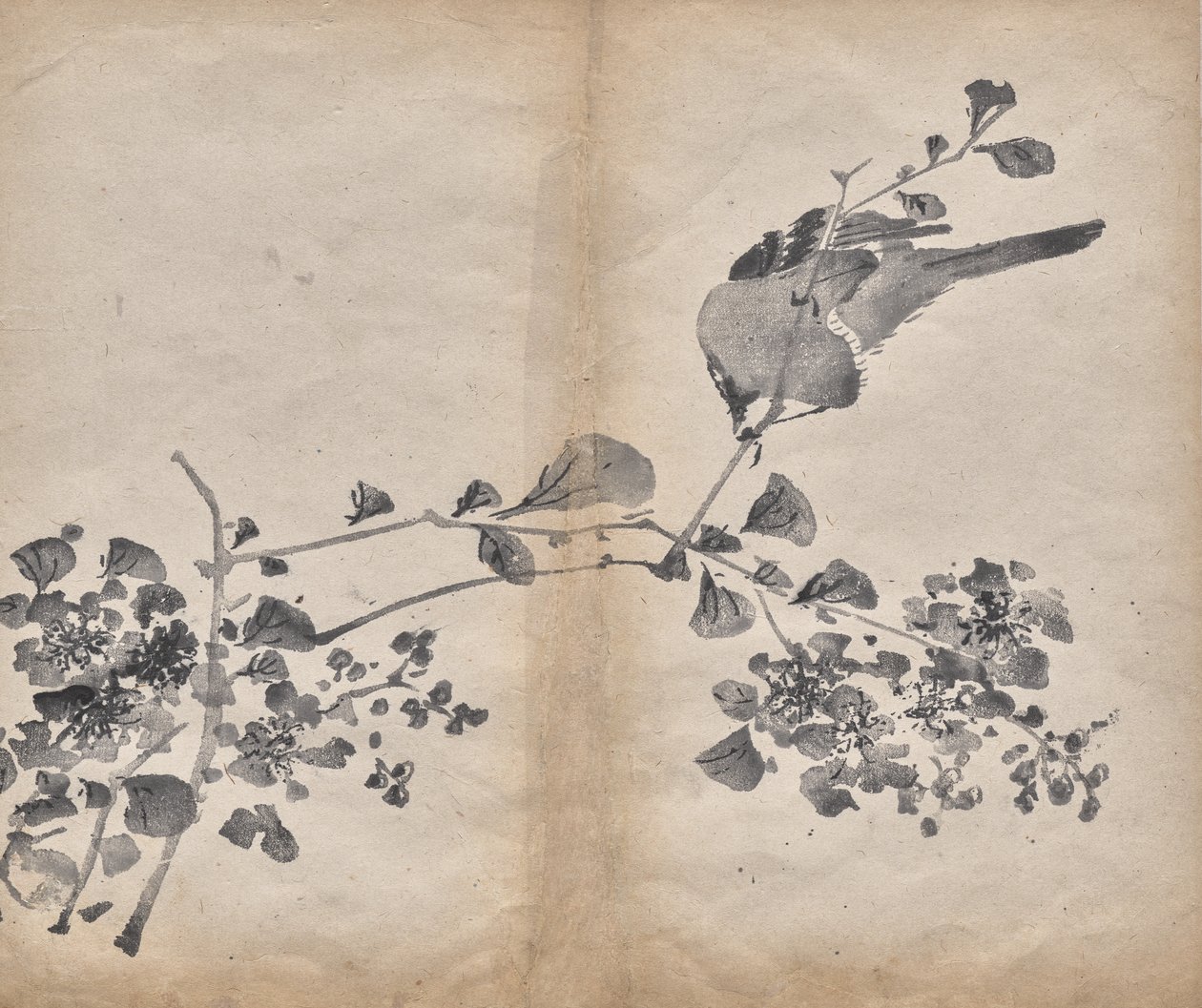 Fleurs - Unknown artist