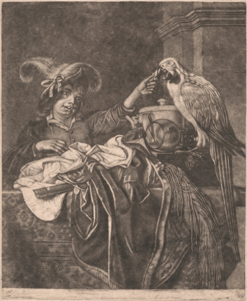 Garçon et un perroquet - Unknown artist