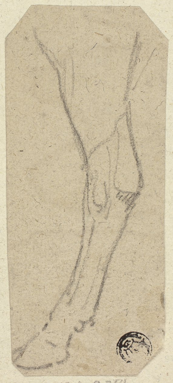 Jambe de vache - Unknown artist