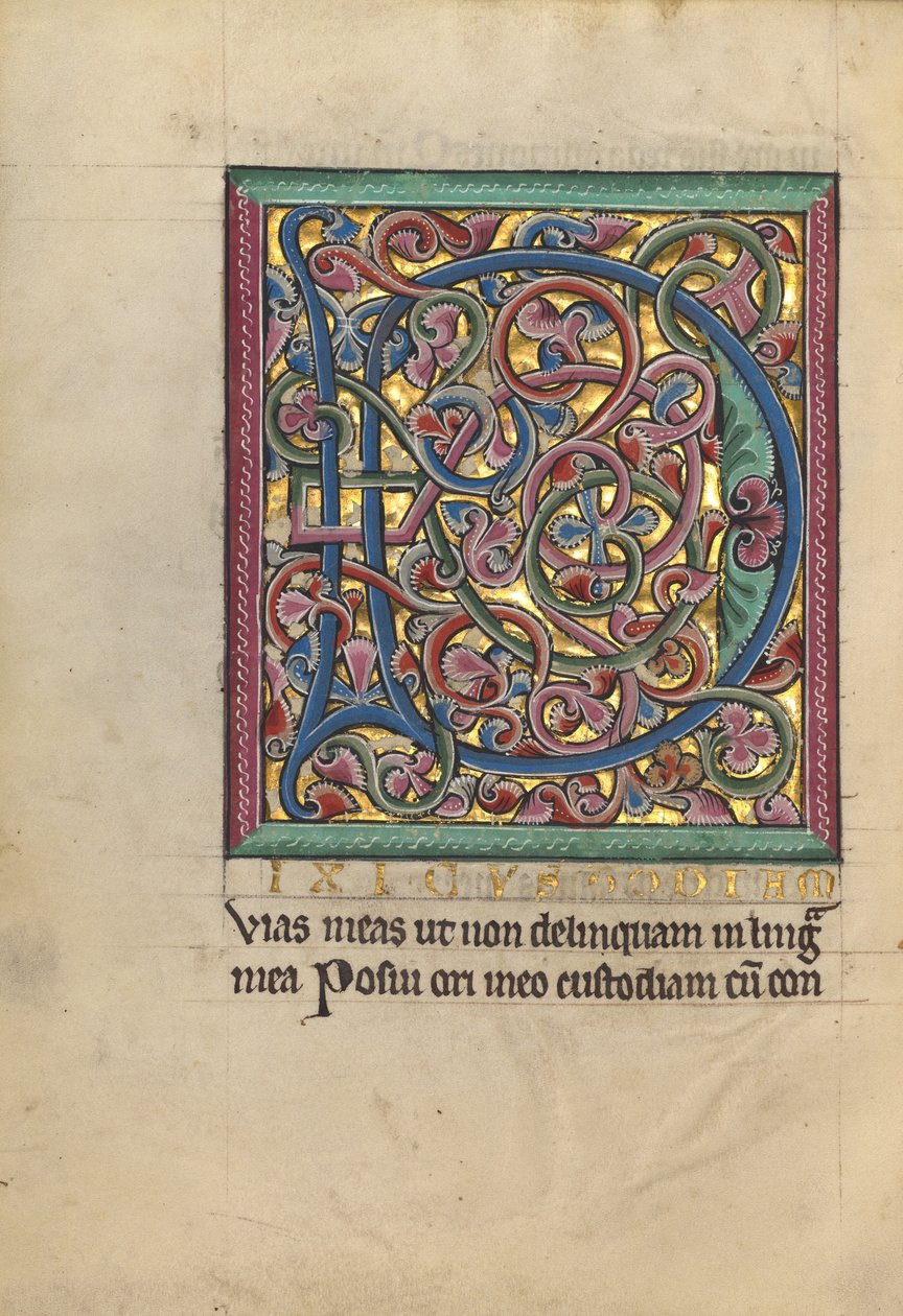 Initiale D décorée - Unknown artist