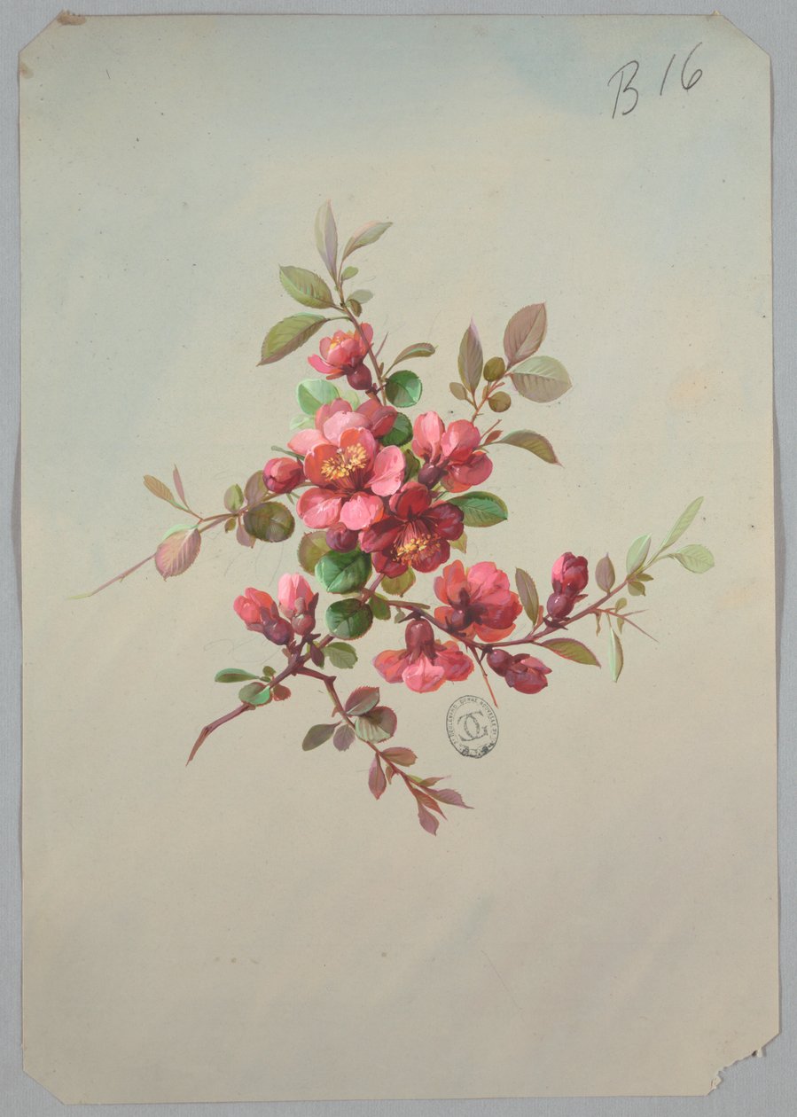 Design pour papier peint et textiles : Fleurs - Unknown artist