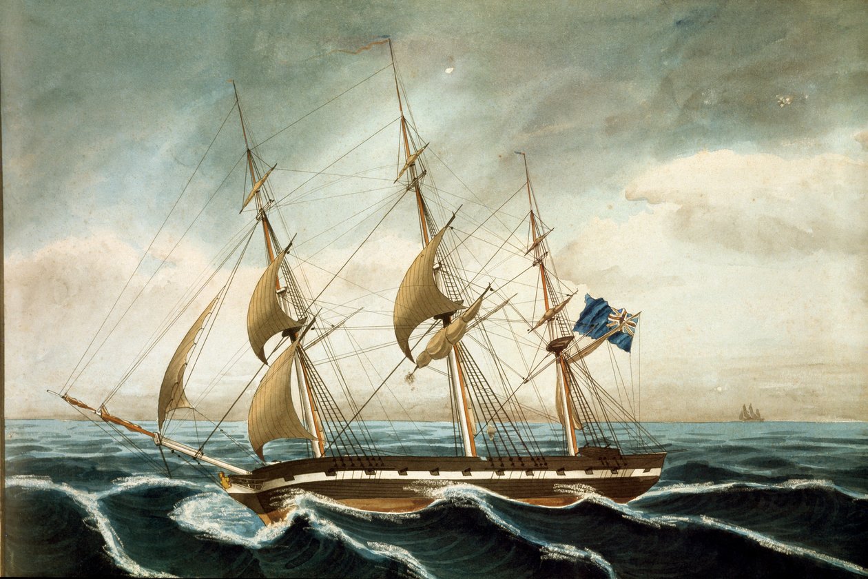 Corvette anglaise - Unknown artist