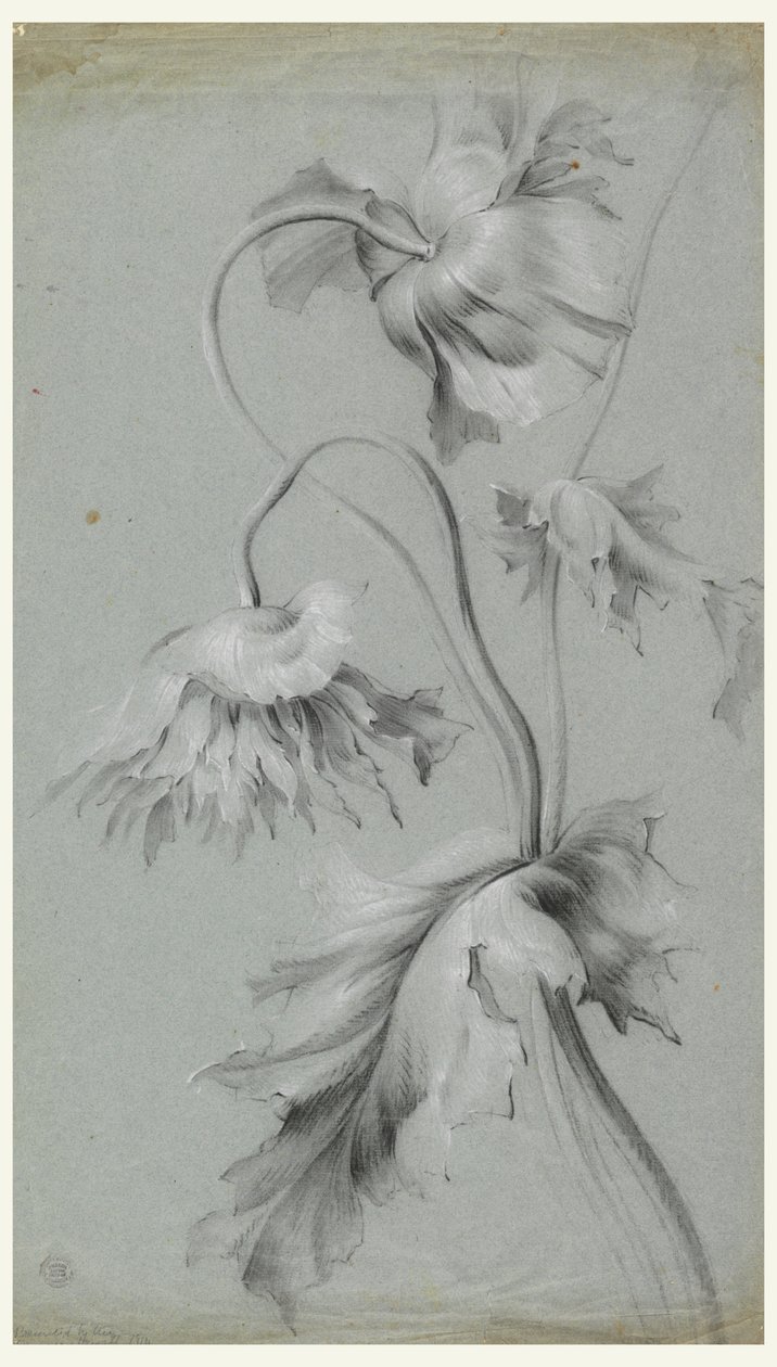 Motif floral - Unknown artist