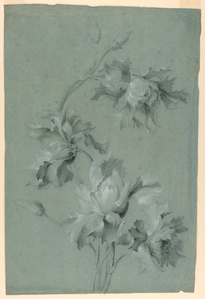 Motif floral - Unknown artist