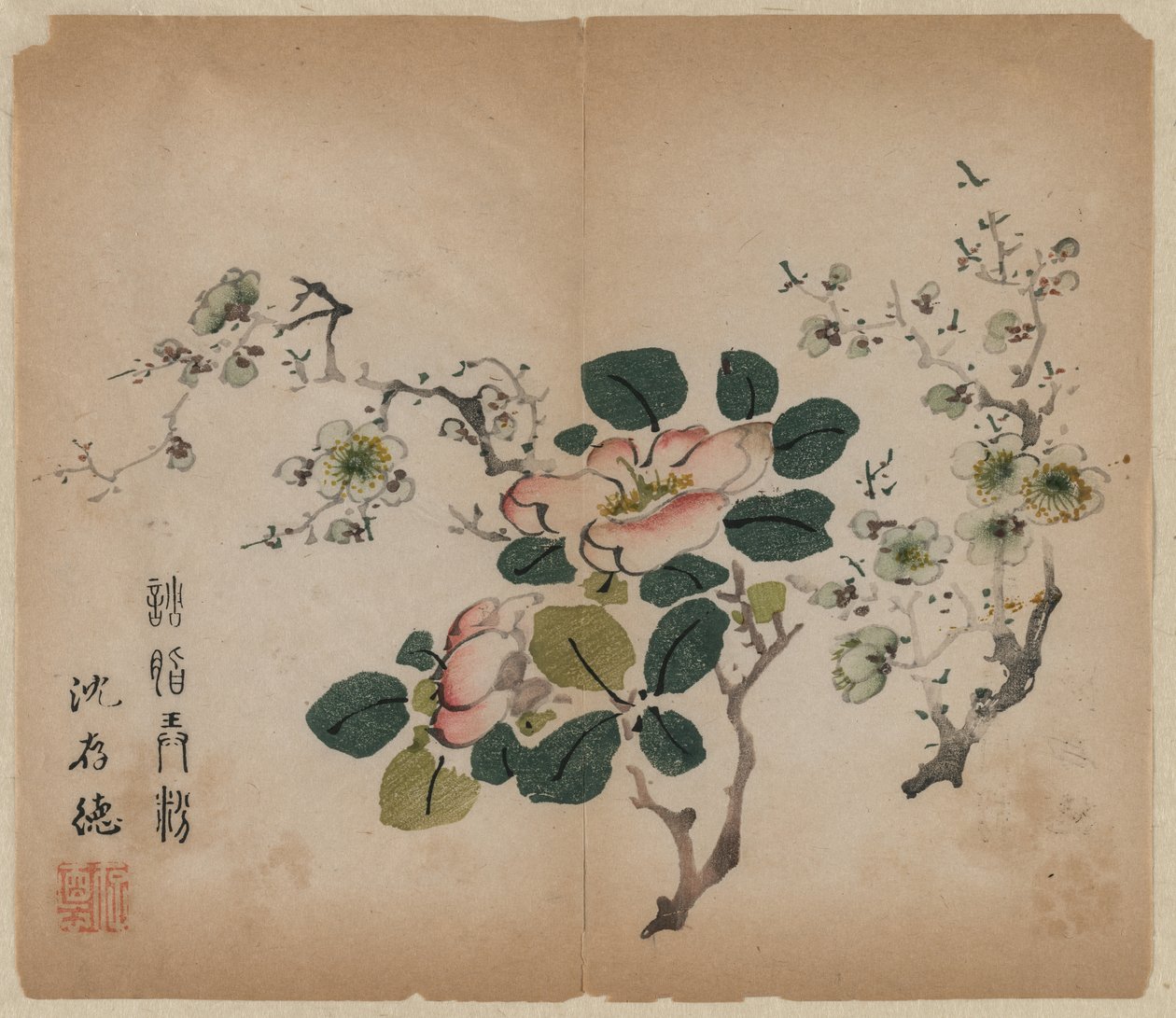 Prunus en fleurs - Unknown artist