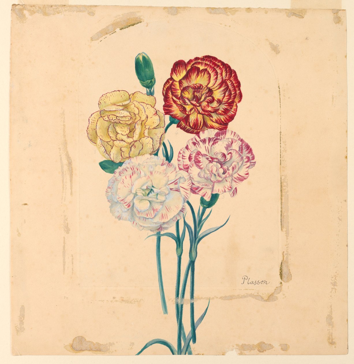 Quatre œillets - Unknown artist