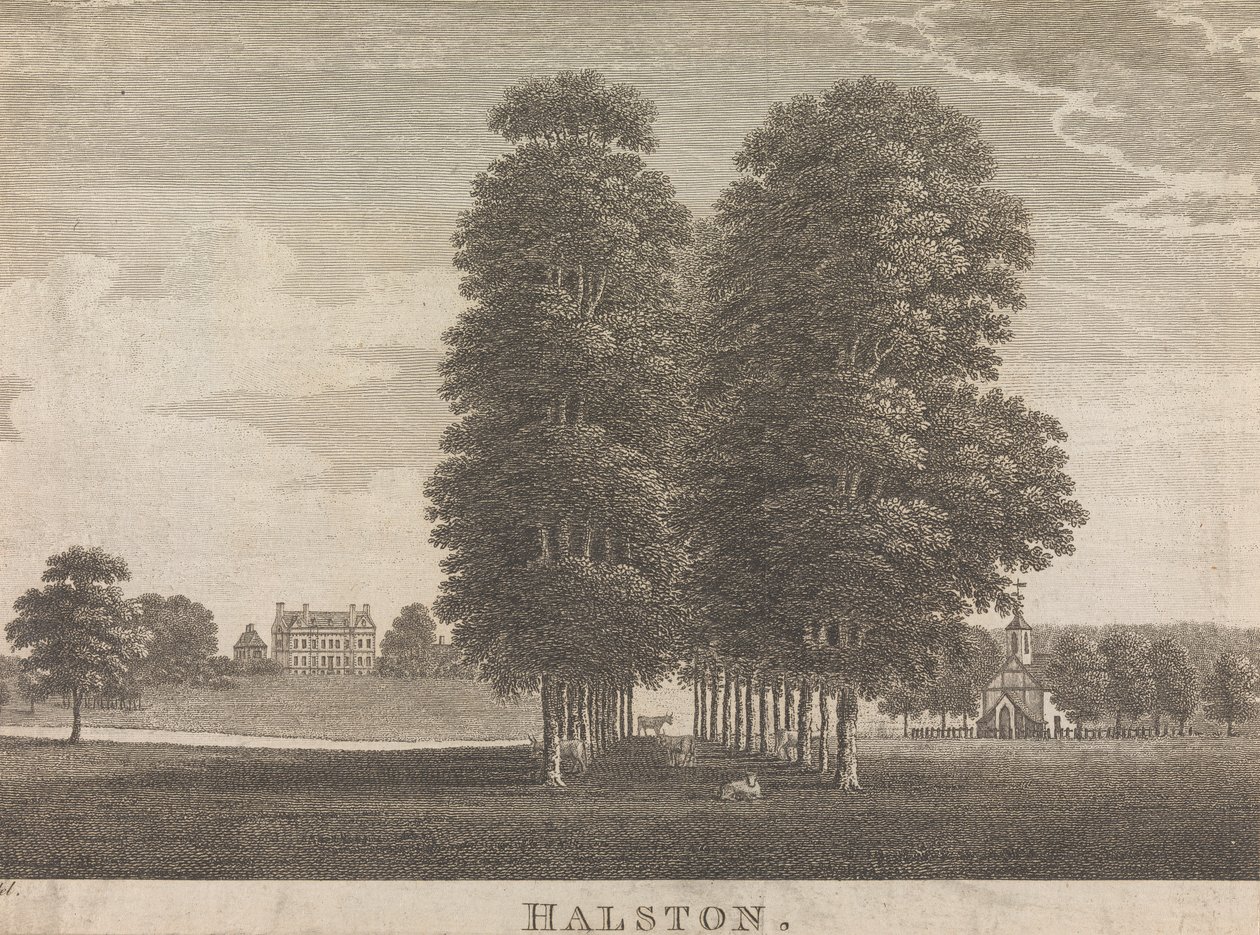 Halston; page 22 (Volume Deux) - Unknown artist
