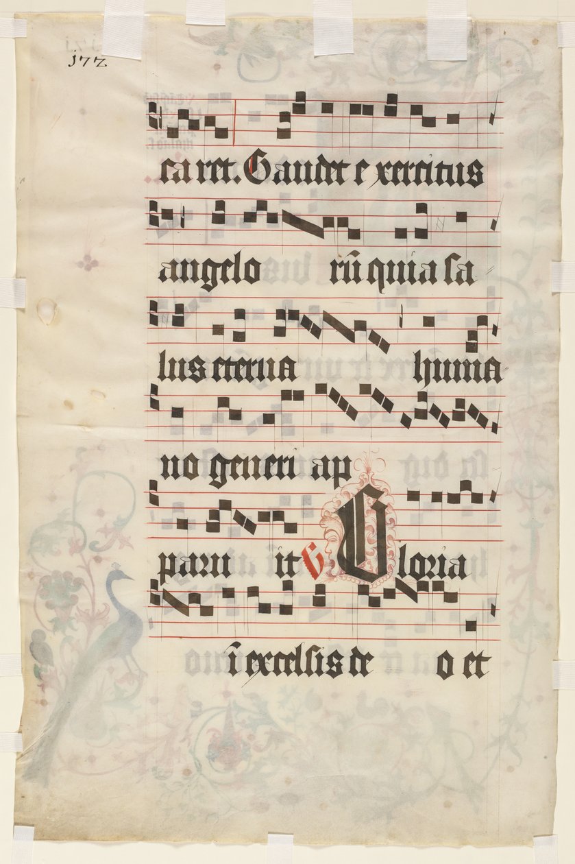 Feuille d