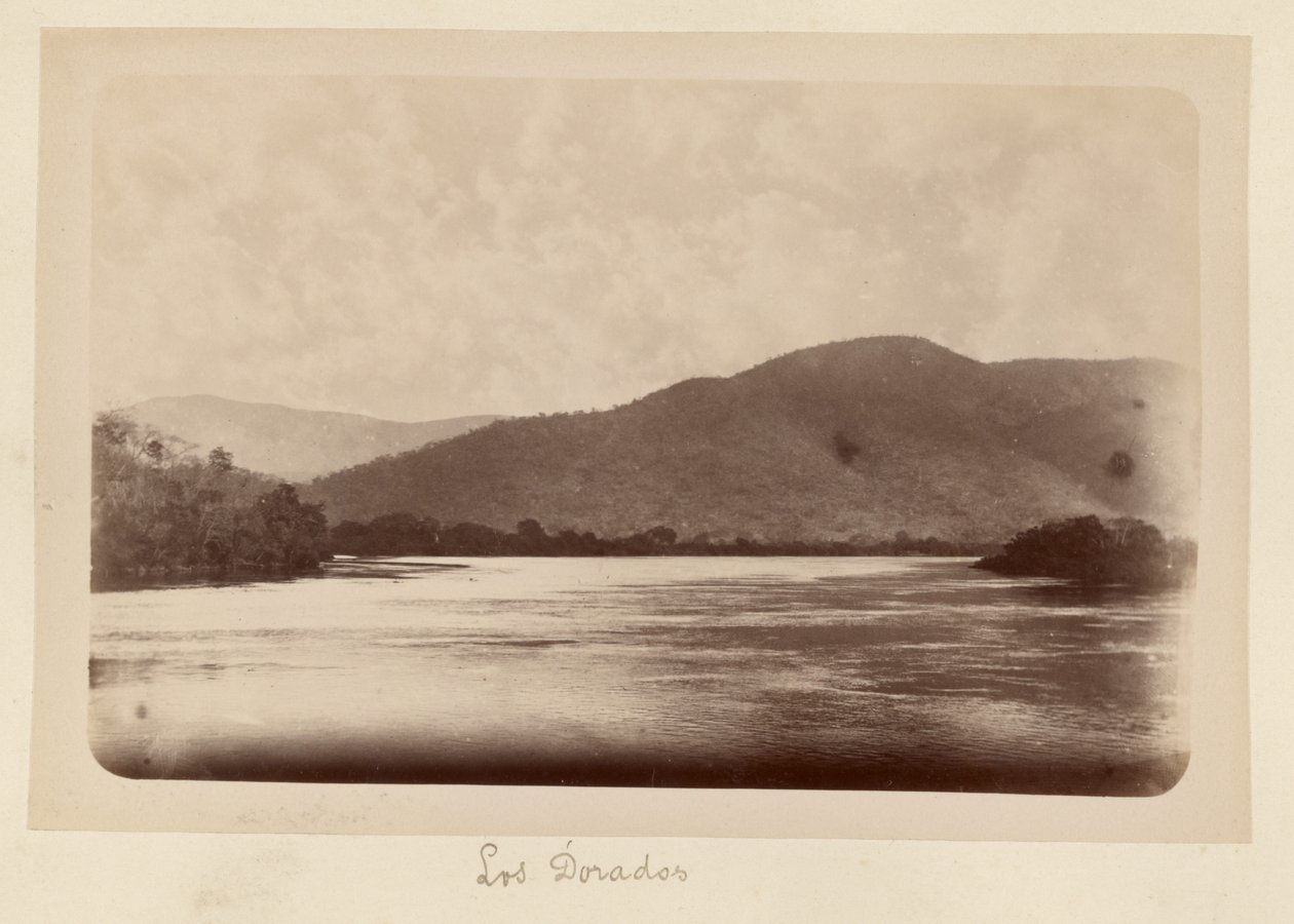 Los Dorados - Unknown artist