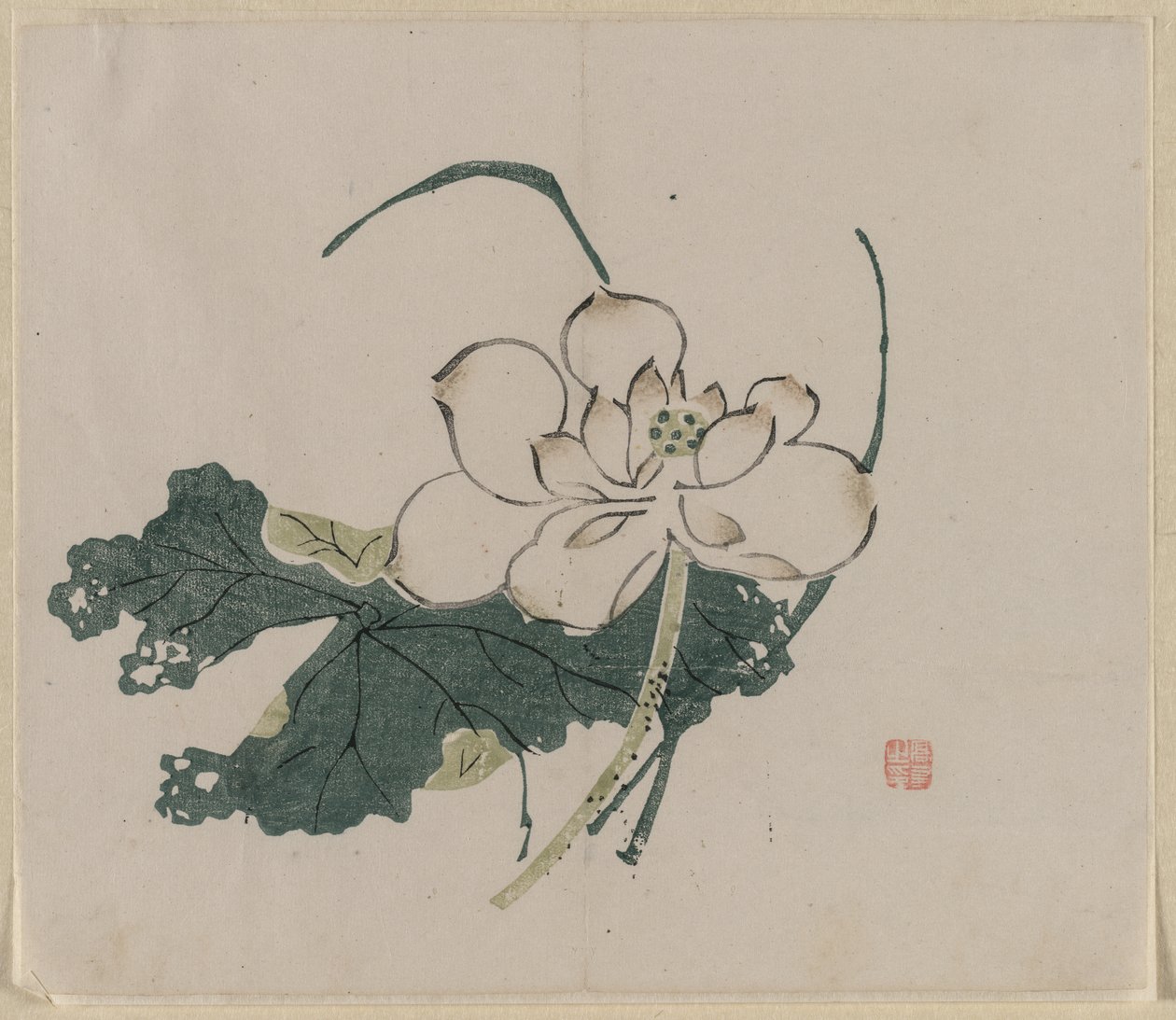 Fleur de lotus - Unknown artist