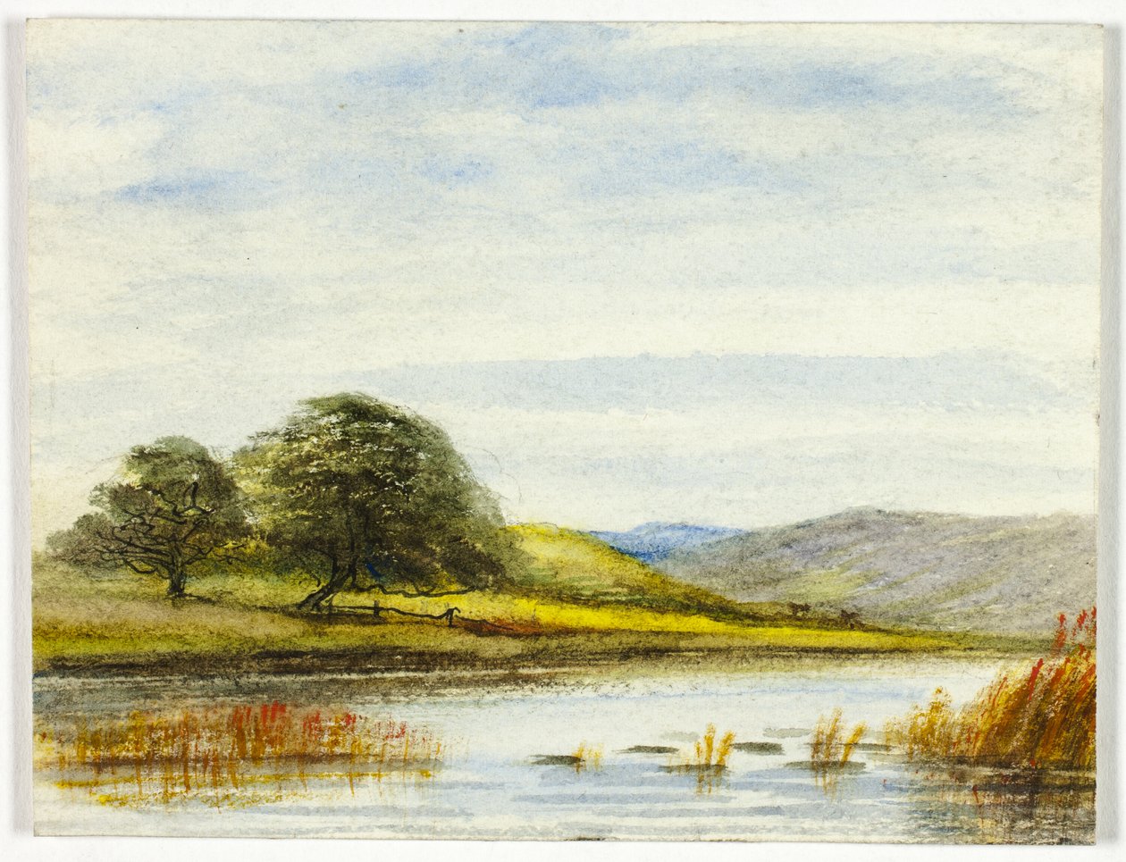 Paysage marécageux - Unknown artist