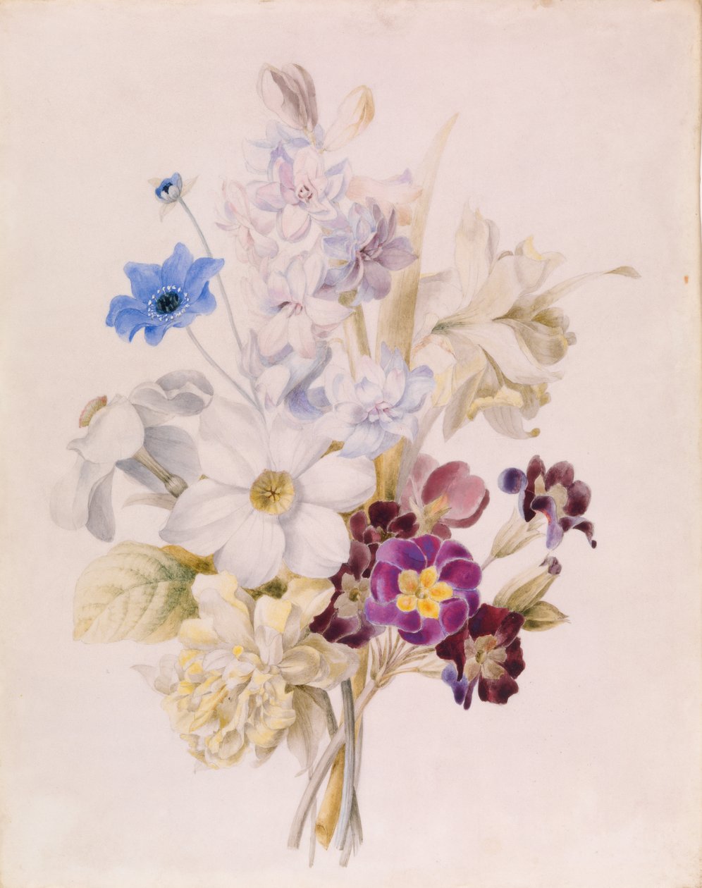 Narcisse et autres fleurs - Unknown artist