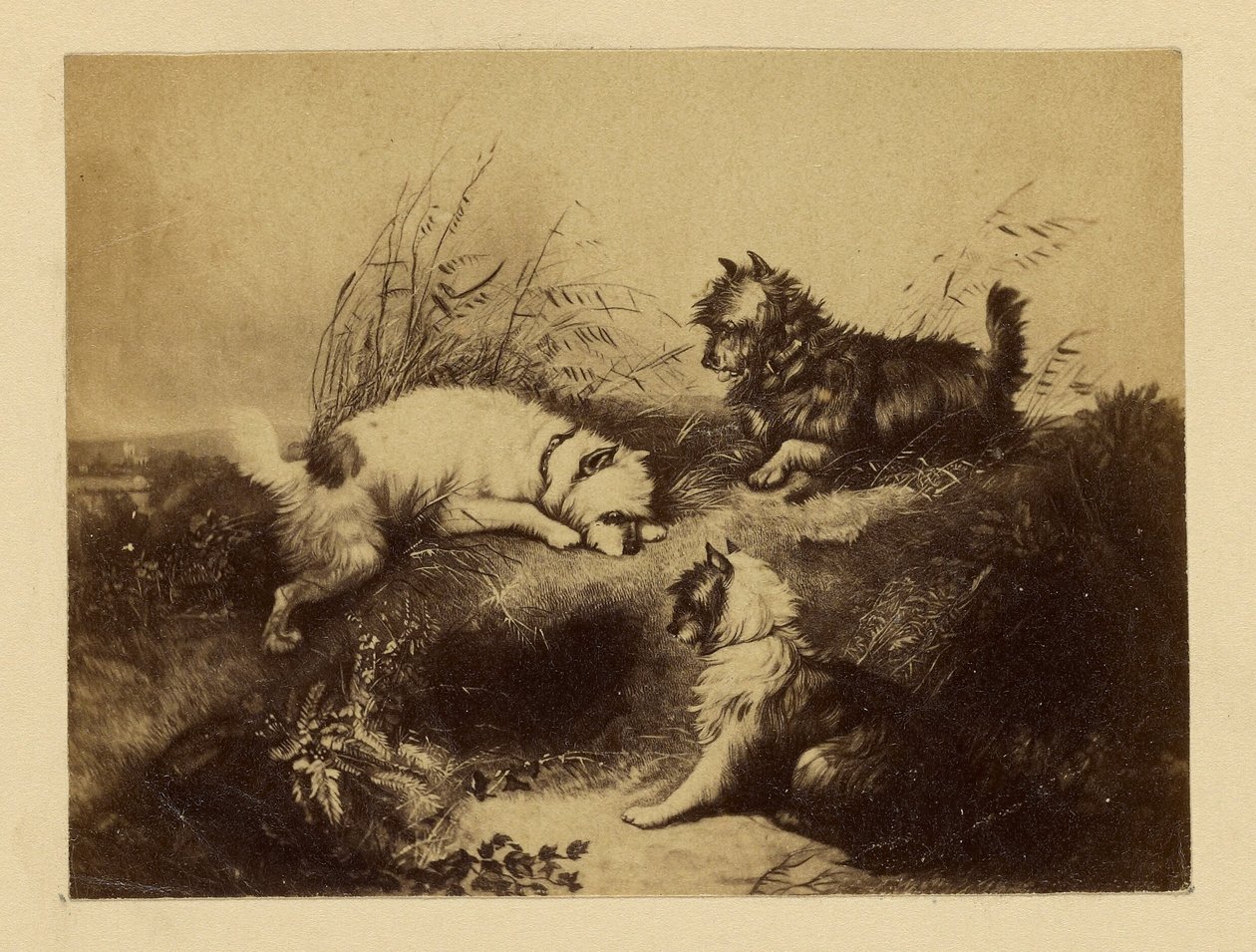 [Peinture de chiens par Charles Tomkins] - Unknown artist