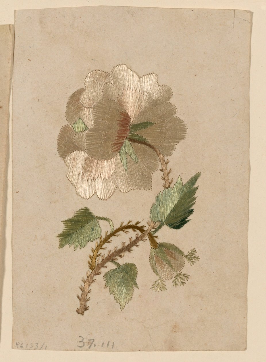 Modèle - Unknown artist