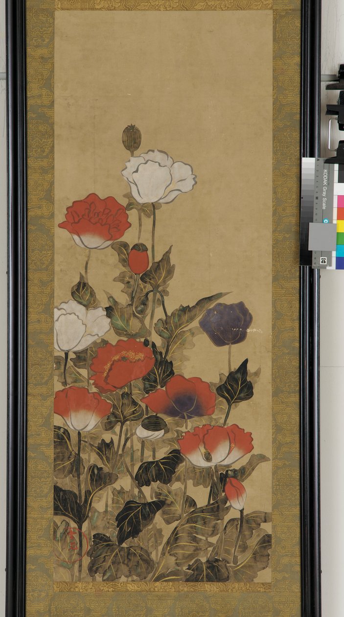 Coquelicots - Unknown artist