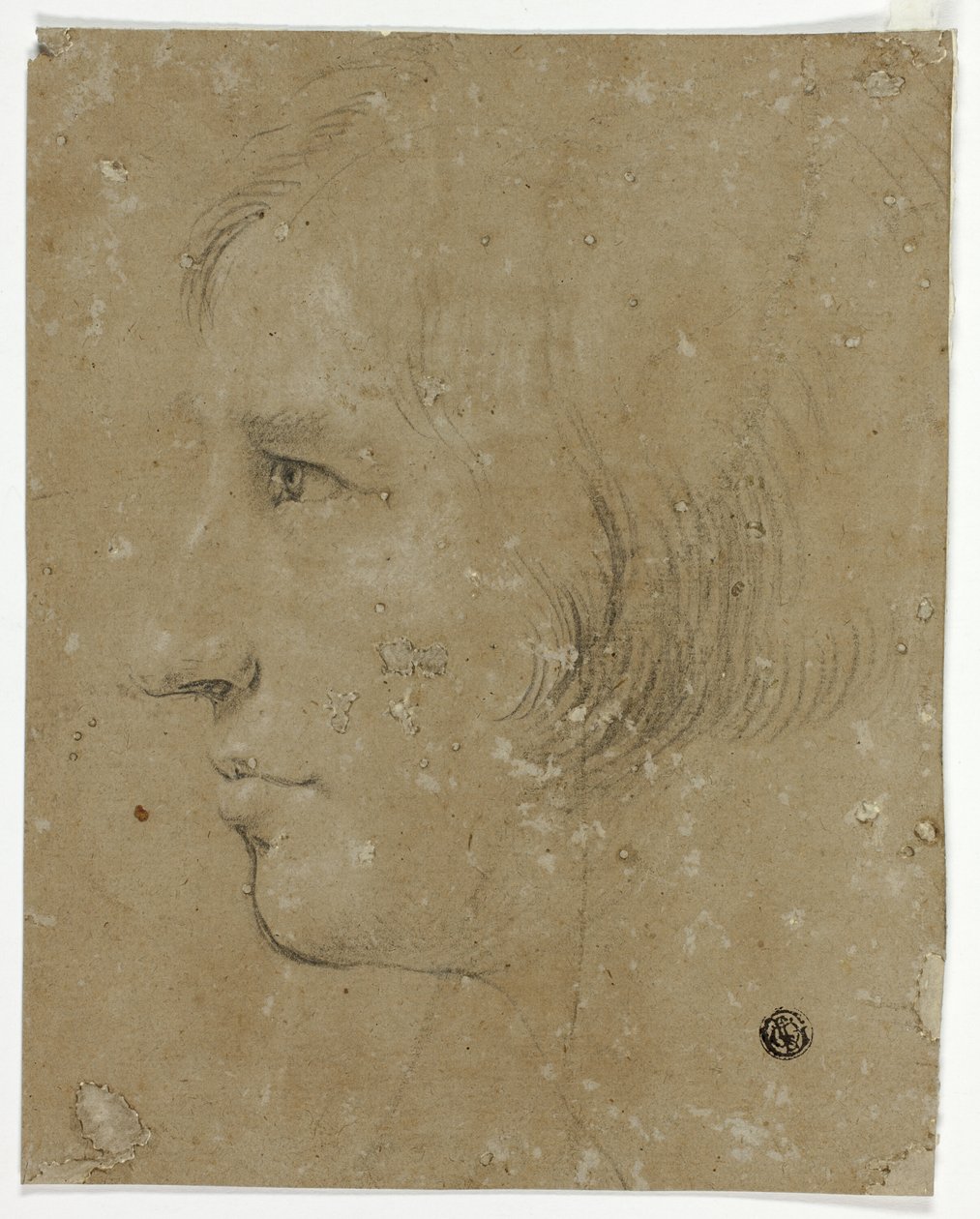 Profil de tête masculine à gauche - Unknown artist