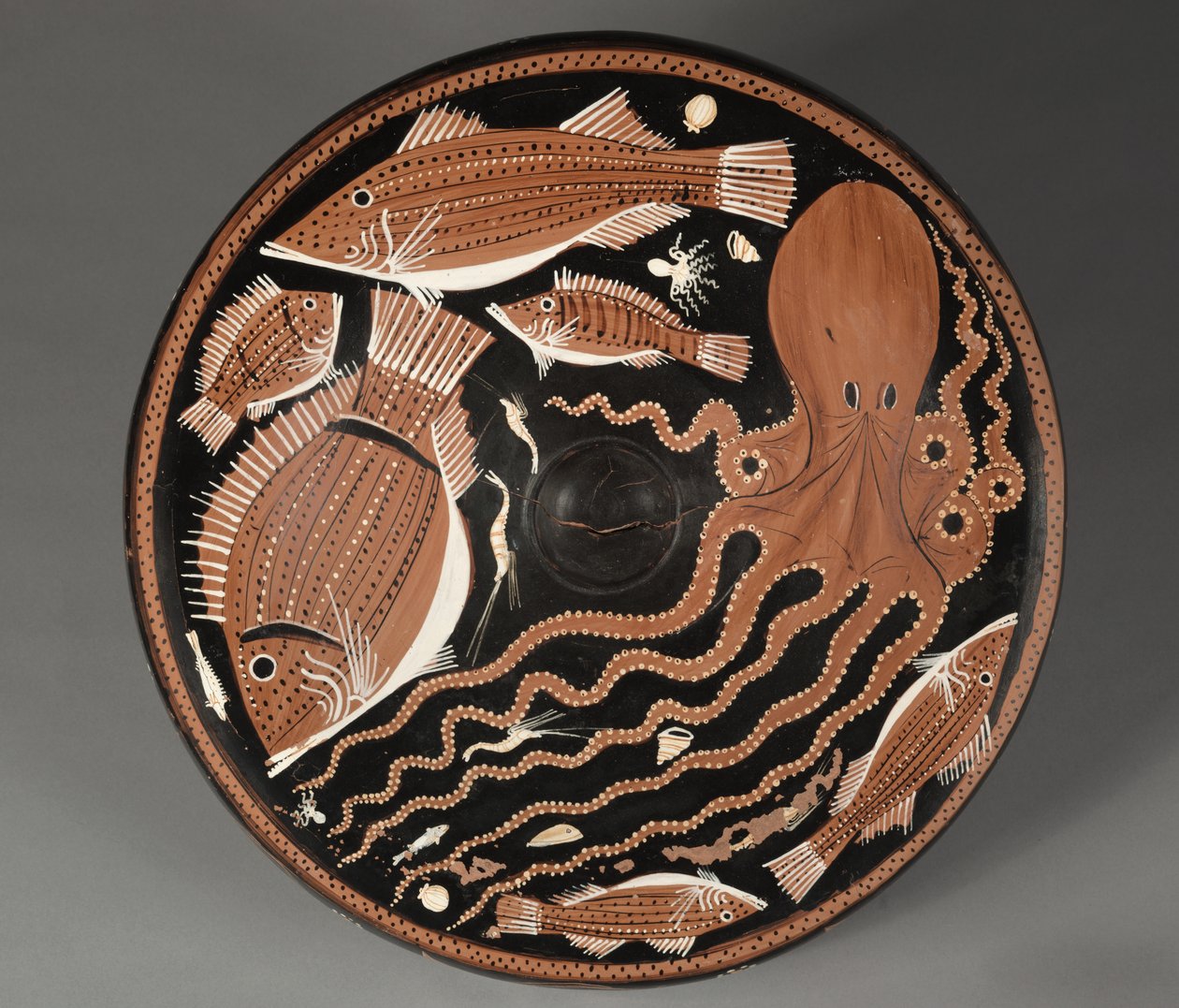 Assiette à figures rouges : poulpes, mulets, dorades, coquillages - Unknown artist