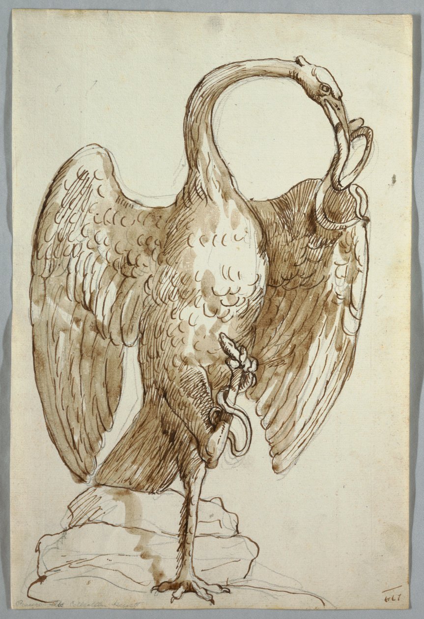 Cygne et deux serpents - Unknown artist