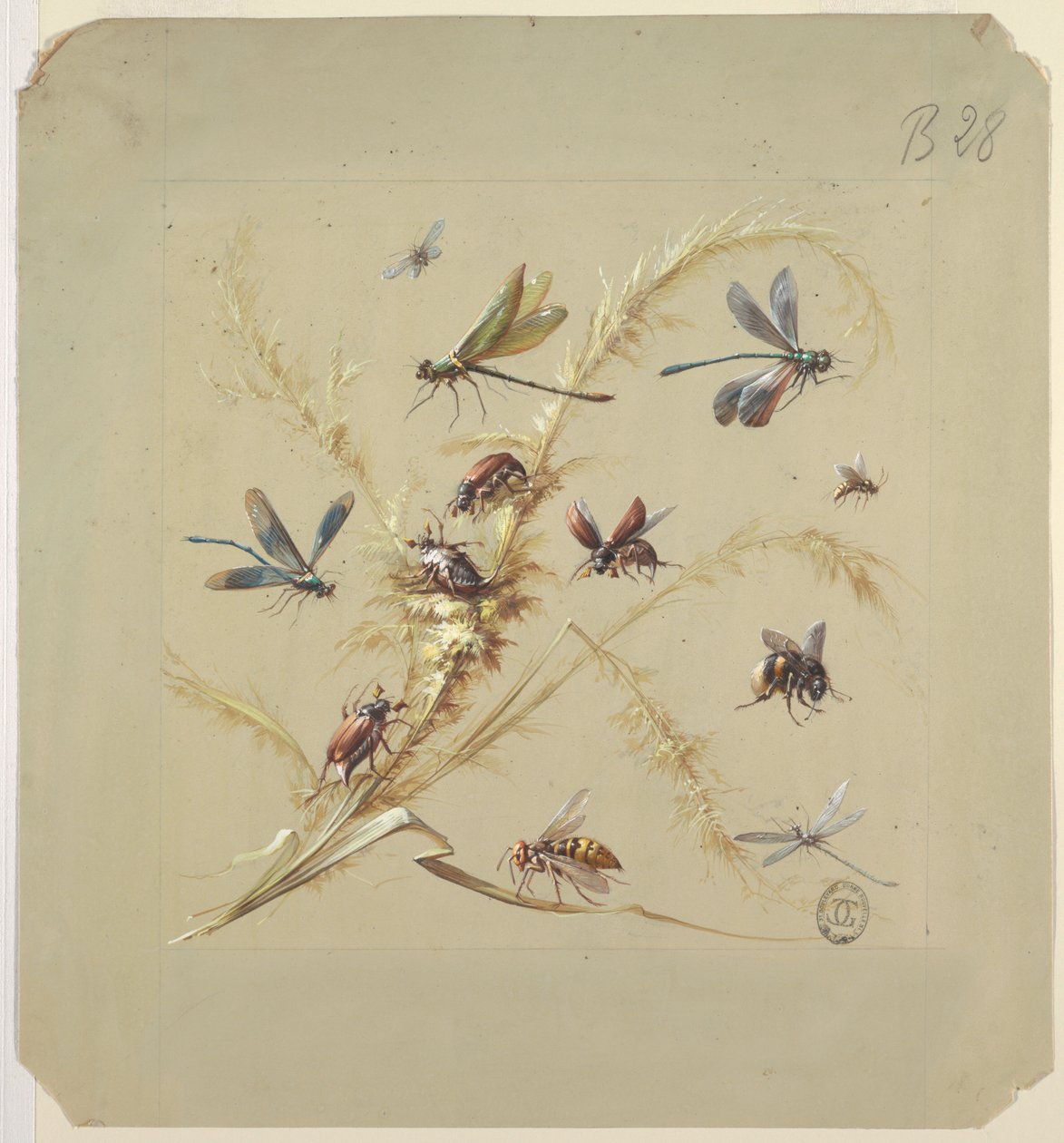 Motif textile ou papier peint : Insectes - Unknown artist