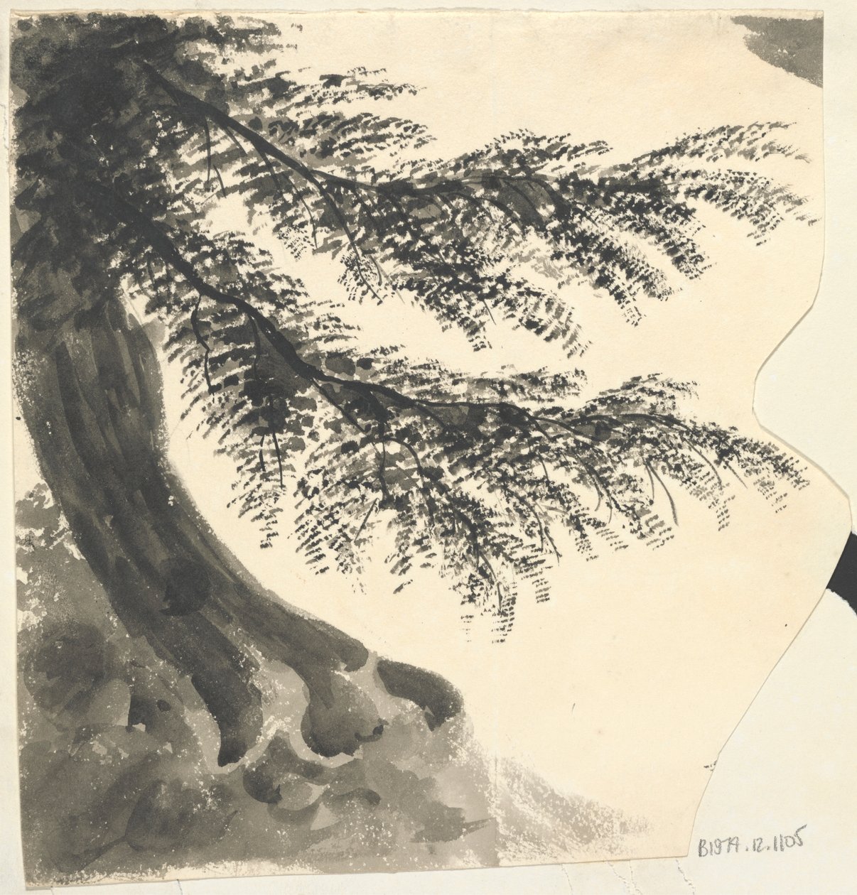 Arbre - Unknown artist